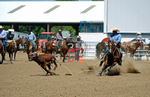 3HRodeo8-11-25_PRCASteer_06159_