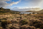 Llyn Blaenmelindwr-ACP_3395
