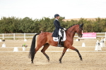 SBM_007272