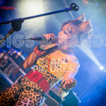 Pussycat and the Dirty Johnsons-54