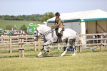 SBM_18623