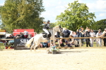 SBM_39462
