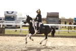 SBM_002899