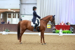 SBM_007204