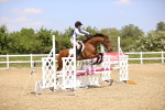 SBM_001237