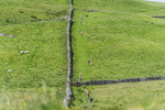 Settle Hills-37