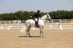 SBM_004190