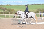 BPP_8479
