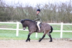 SBM_007433