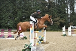 Cls 5 Foxhunter & Open portfolio