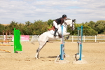 SBM_006488