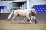 SBM_5425