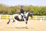 SBM_007962