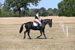 WJ6_8788