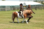 SBM_05263