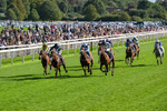 060926-Race 5-Extremely Zain-0304