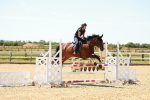 SBM_005977