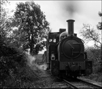WLLR The Earl approaches Cwm Lane with goods wagons 2 bw