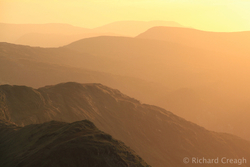 Mountain Gold