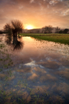 River Windrush Sunrise