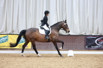 SBM_003397