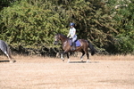 WJ6_7807