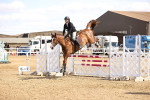 SBM_001371