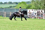 SBM_07989