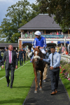 250823-Race 1-Marhaba The Champ-0158