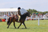 IMG_3040