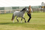 SBM_00426