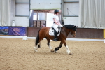 SBM_008518