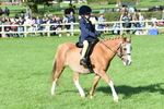 SBM_50351
