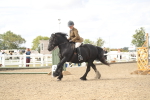 SBM_14541
