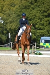 251-CLASS_MOVE-Ellie_Healy-WEDTrotUp+DR portfolio