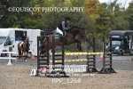 BPP_1268
