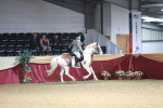 SBM_03679