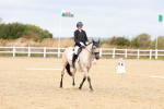 SBM_001290