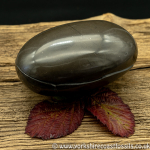 Sold Polished Whitby Ammonite Nodule 045