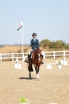 SBM_017311
