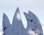 Winter - 20