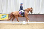 SBM_002435