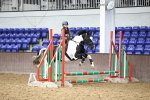 SBM_001353