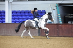 SBM_001466