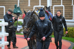 141125-Race 5-Welonlyhavedone-0545