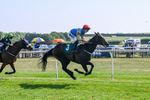 150726-Race 5-Naval Light-3547