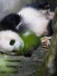 CHINA__0089