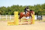 SBM_005910