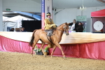 SBM_13544
