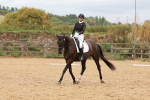 SBM_001983